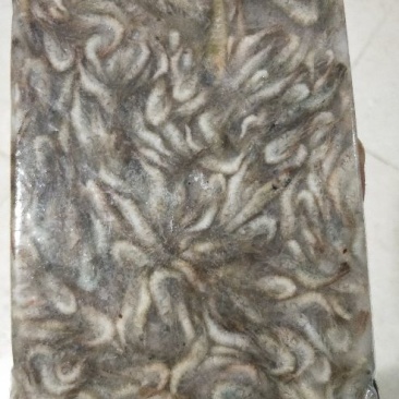 青虾冻虾26~30只/kg