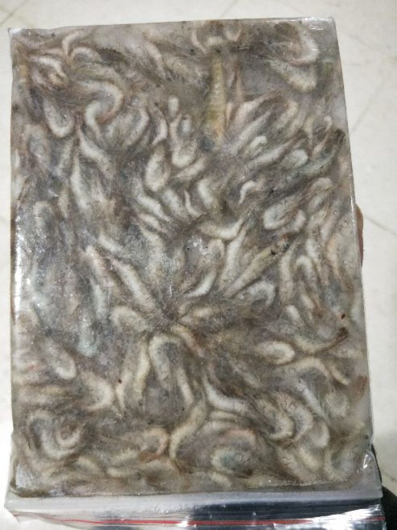 青虾冻虾26~30只/kg