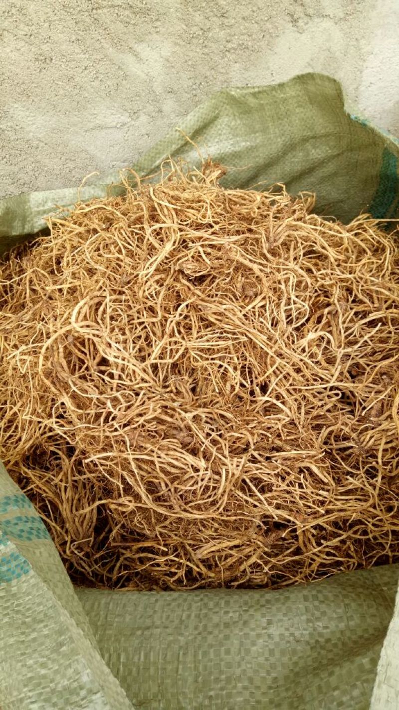 龙胆草药厂货，切段货，床子货