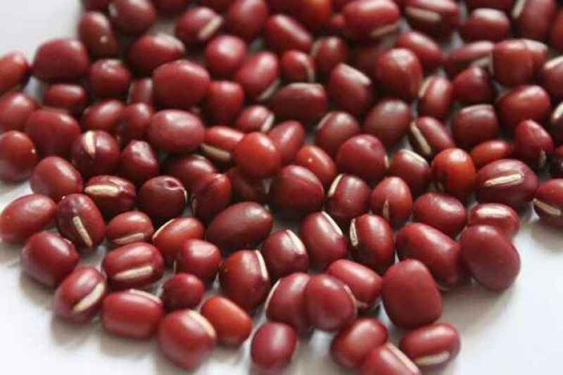 红小豆东北红小豆