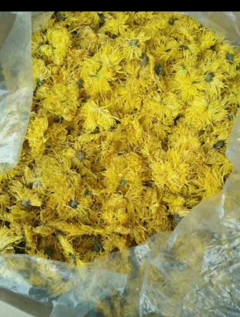 金丝皇菊茶特级