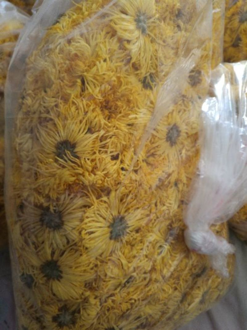 金丝皇菊茶一级