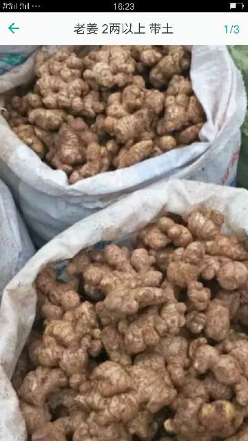 老姜1两以上带土