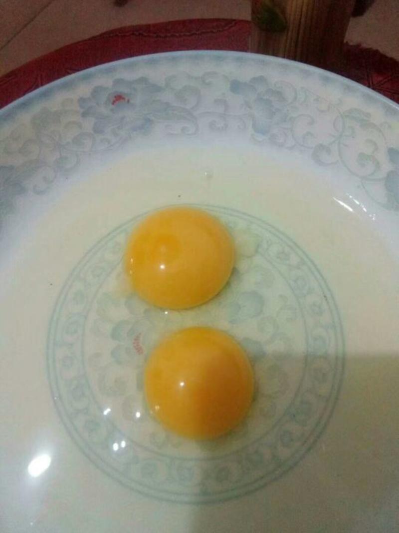 鸡蛋（原种乌骨鸡蛋）武山鸡蛋白凤仙子鸡蛋