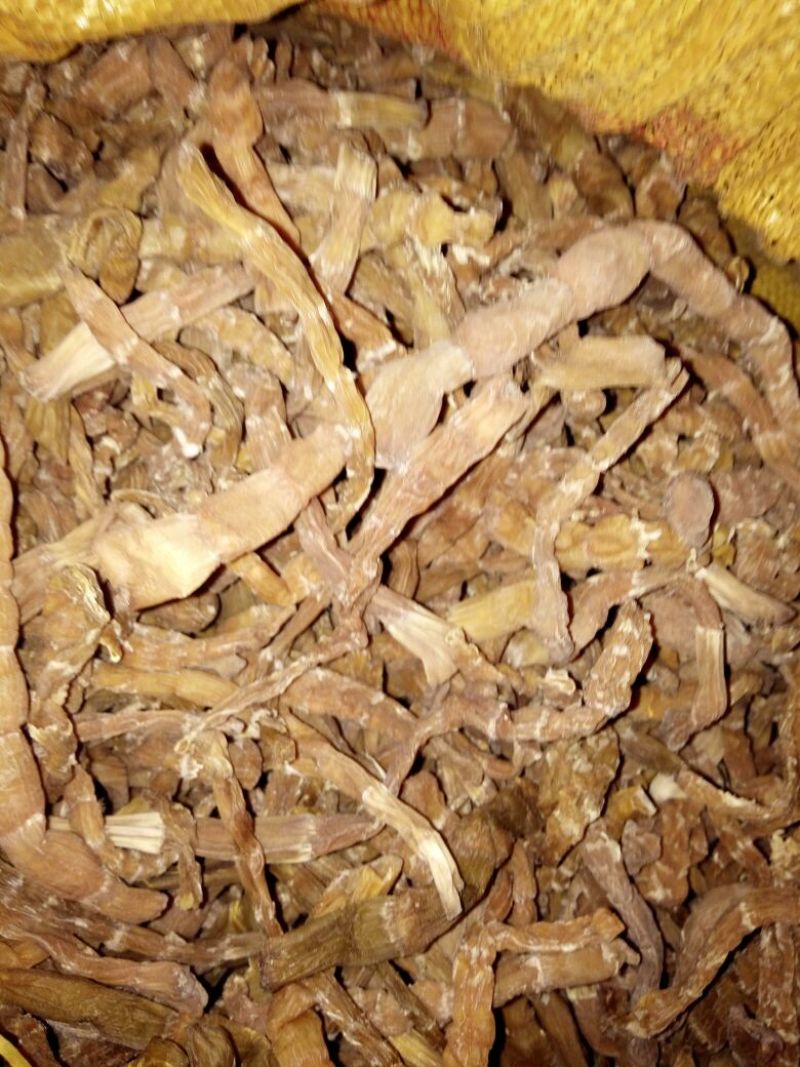 干竹笋13~17cm