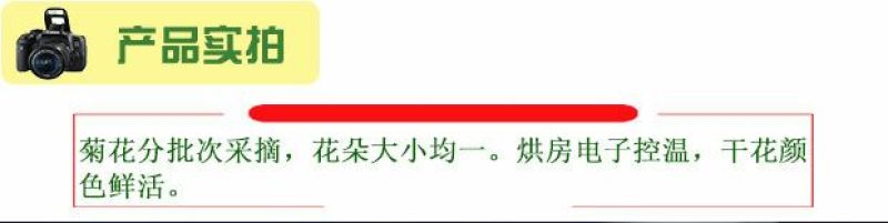 菊花茶一级