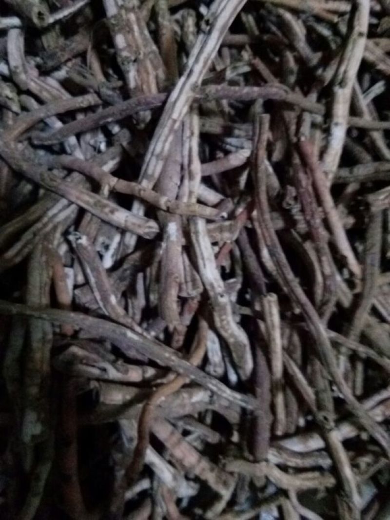 牡丹皮统货