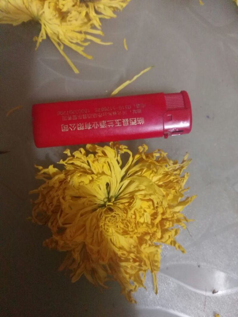金丝皇菊茶一级