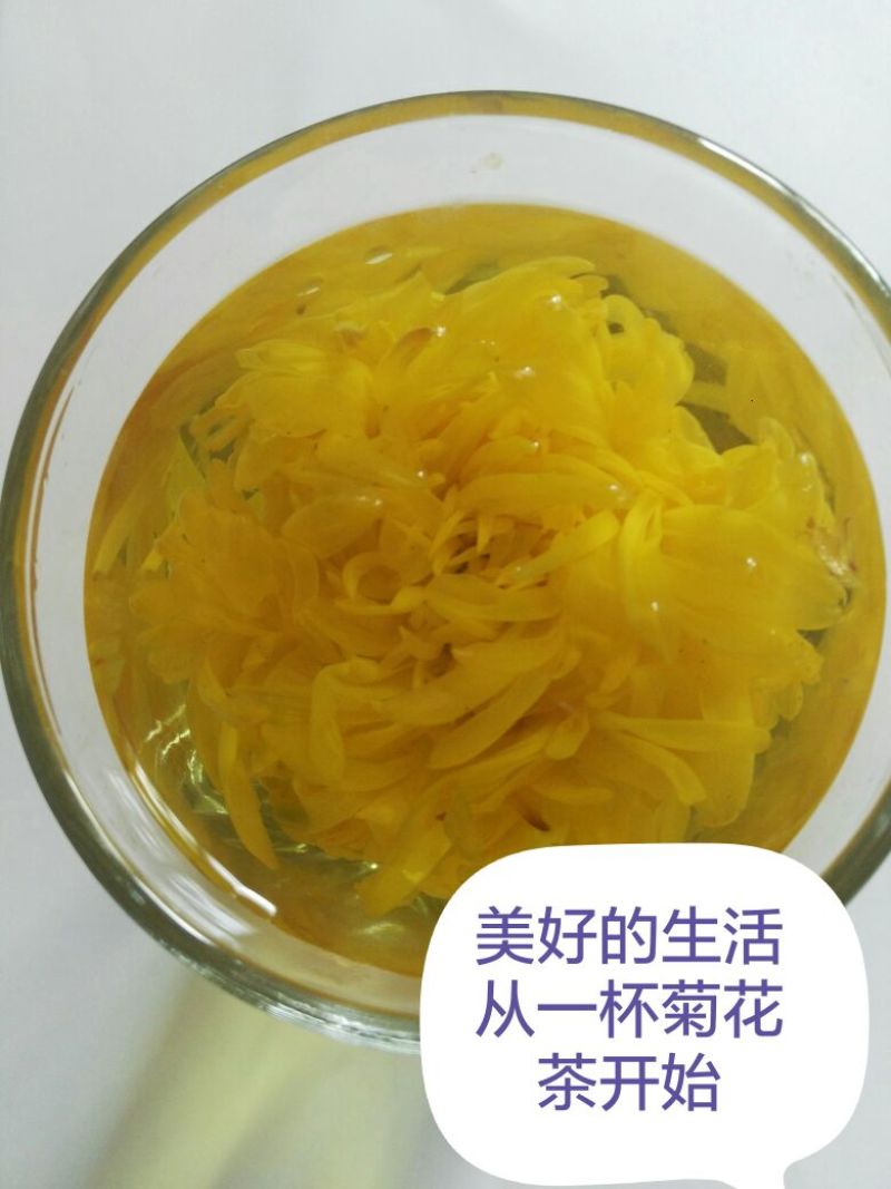 金丝皇菊茶一级