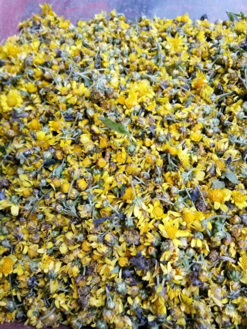 野菊花散装