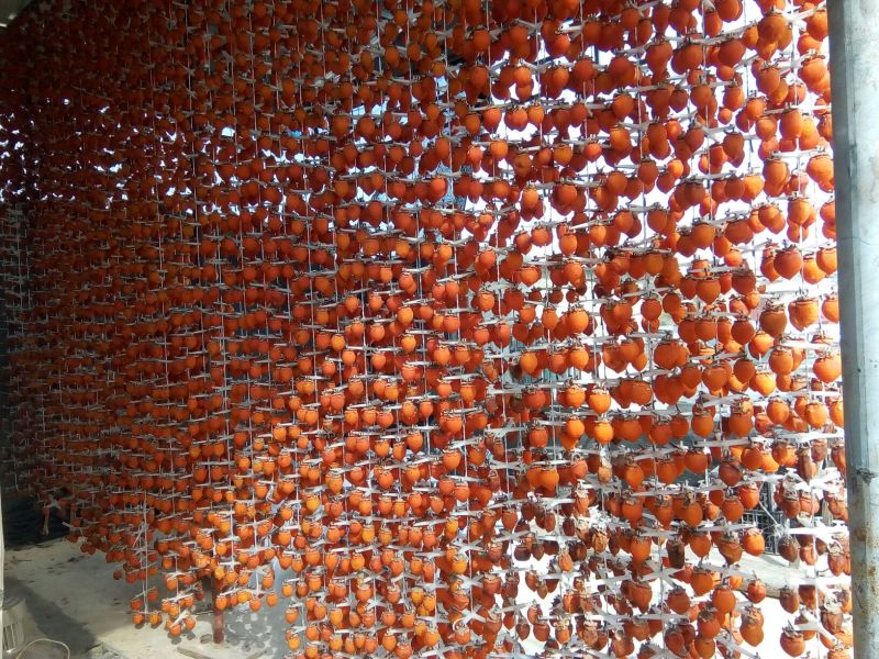 柿饼1~2两
