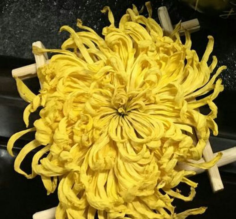 菊花茶10m以上特级花王
