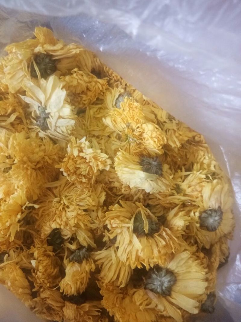 金丝皇菊茶一级