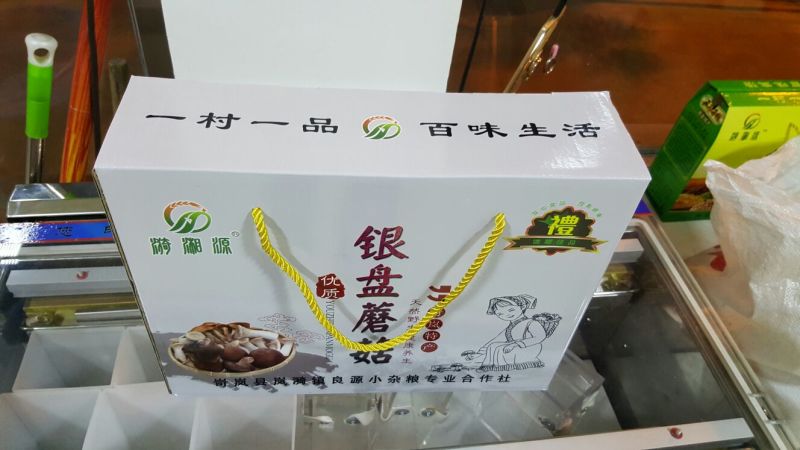 银盘蘑菇特级4cm