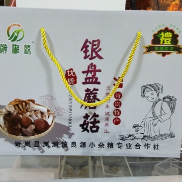 银盘蘑菇特级4cm