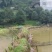 空闲用地10~100亩10~30年合作