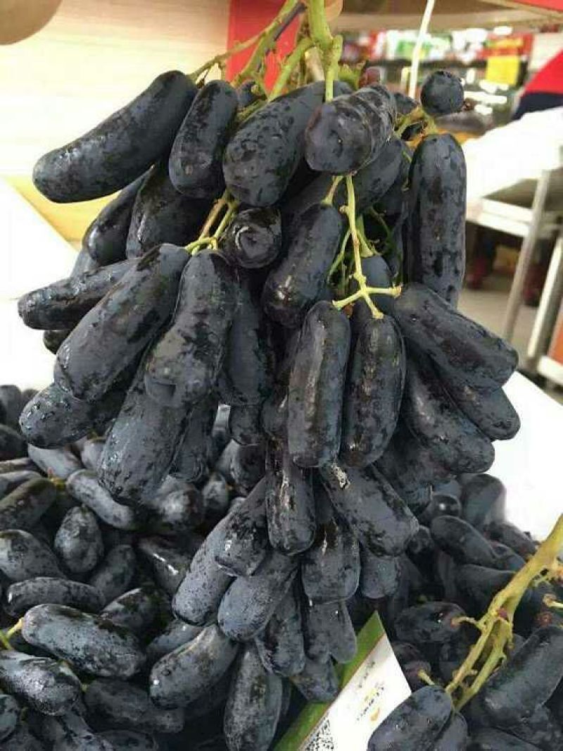 甜蜜蓝宝石葡萄苗1年苗两年苗保证正品可签合同保湿