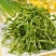 松柳芽苗菜散装