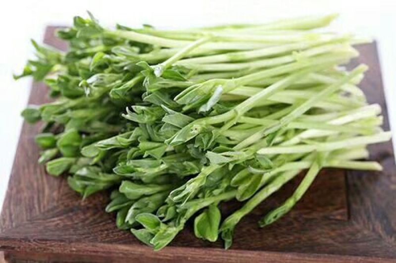 松柳芽苗菜散装