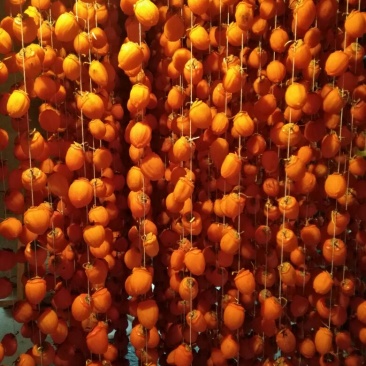 柿饼1~2两
