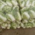 大白菜4~6斤净菜，个头均匀，颜色绿，
