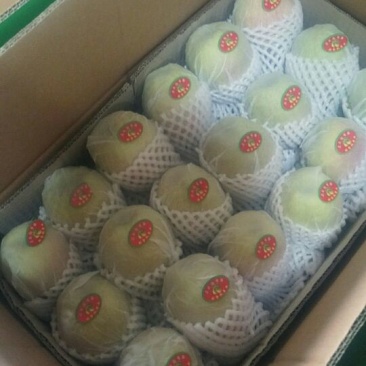 库尔勒香梨母100~150g55mm以上