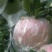 红富士苹果75mm以上纸+膜袋