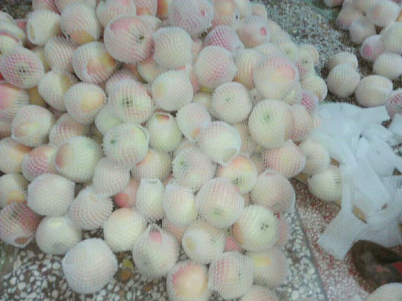 红富士苹果75mm以上纸+膜袋