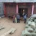 黄姜，含量0.65以上五年生，无毛土杂2至4个，价格美丽