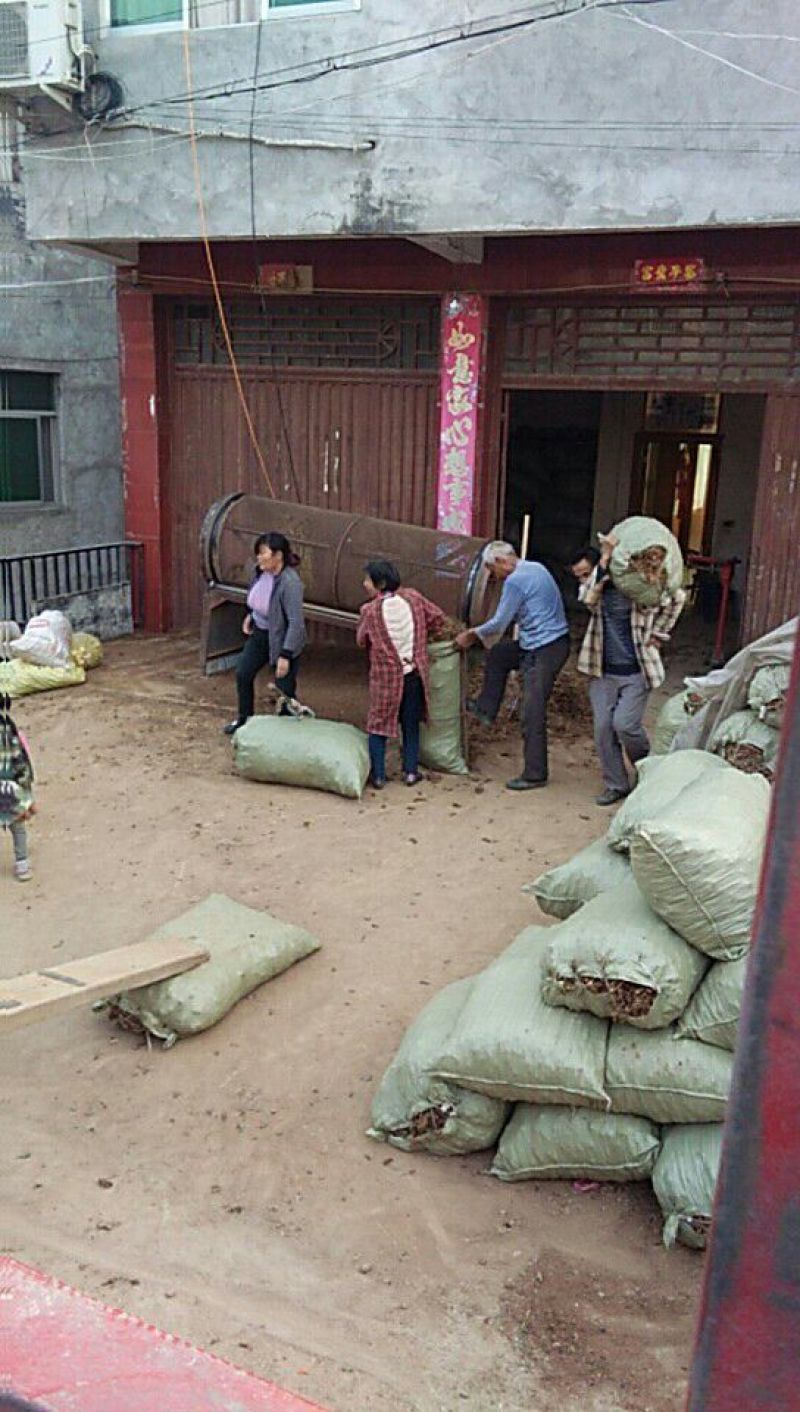 黄姜，含量0.65以上五年生，无毛土杂2至4个，价格美丽