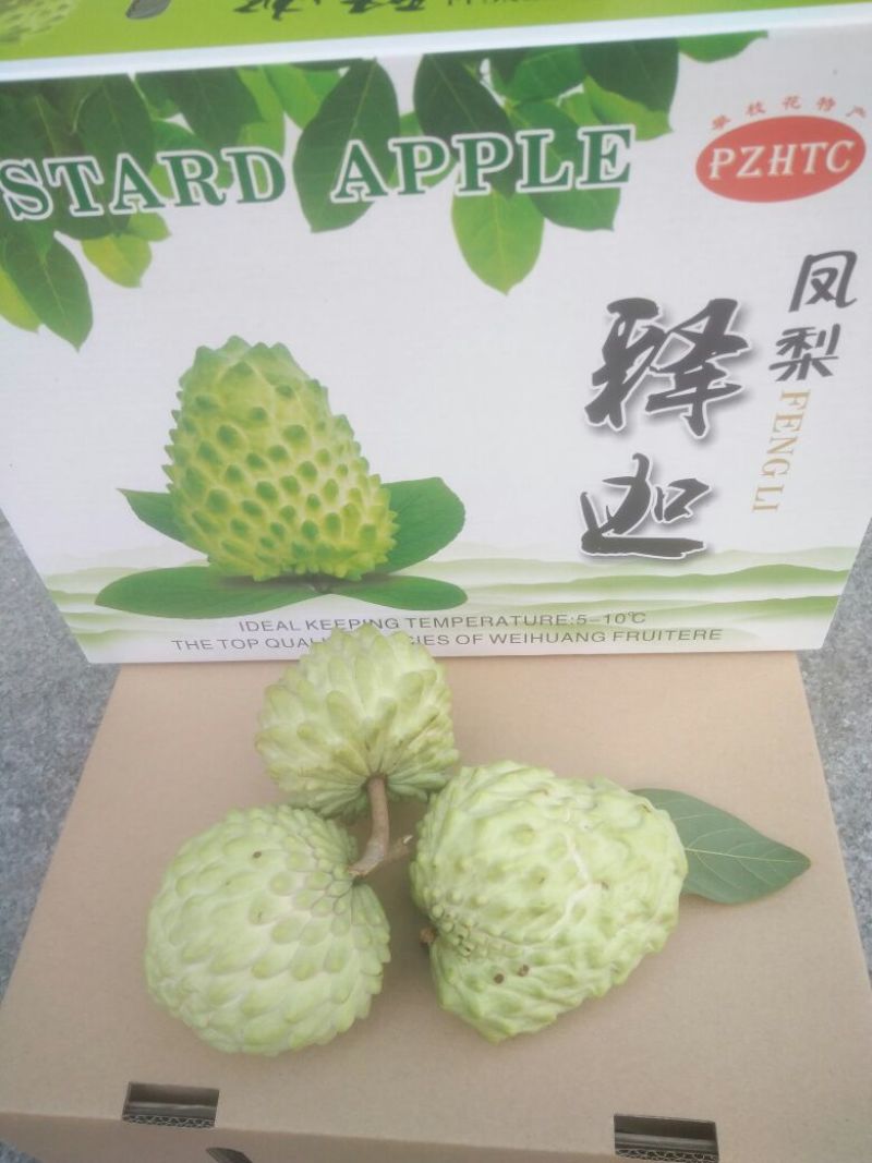 释迦350~450g一级
