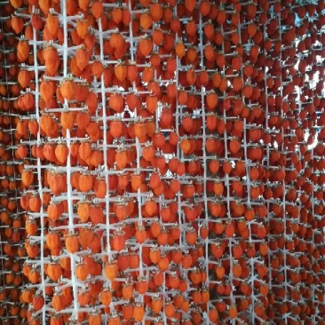 柿饼1~2两