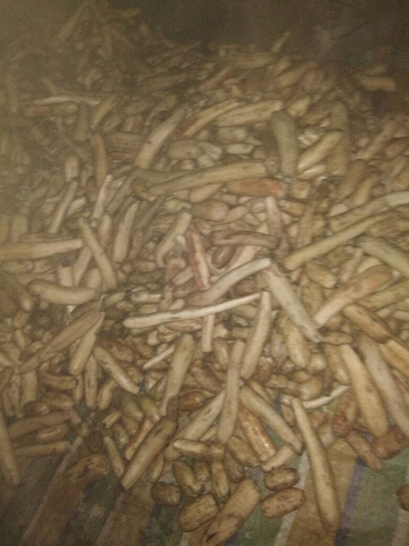 藕粉藕粉