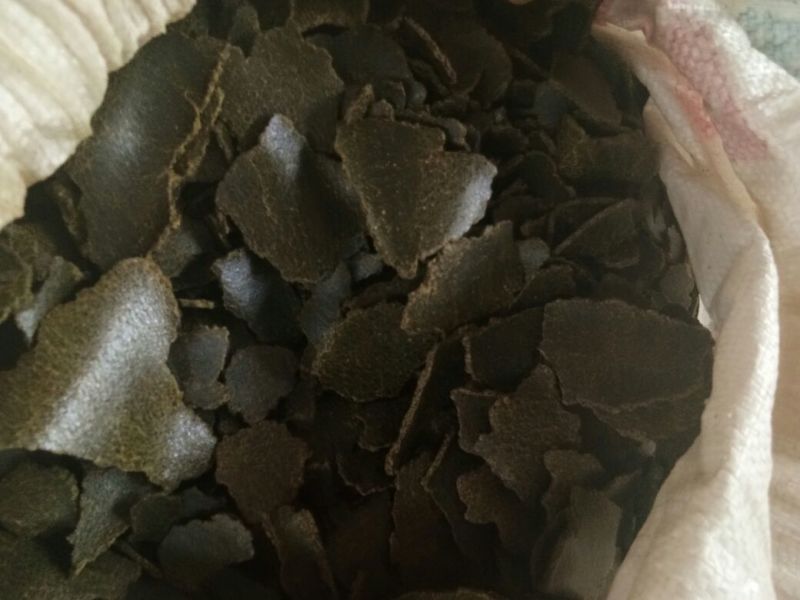 菜籽青饼加工利用