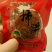柿饼2~2.5两