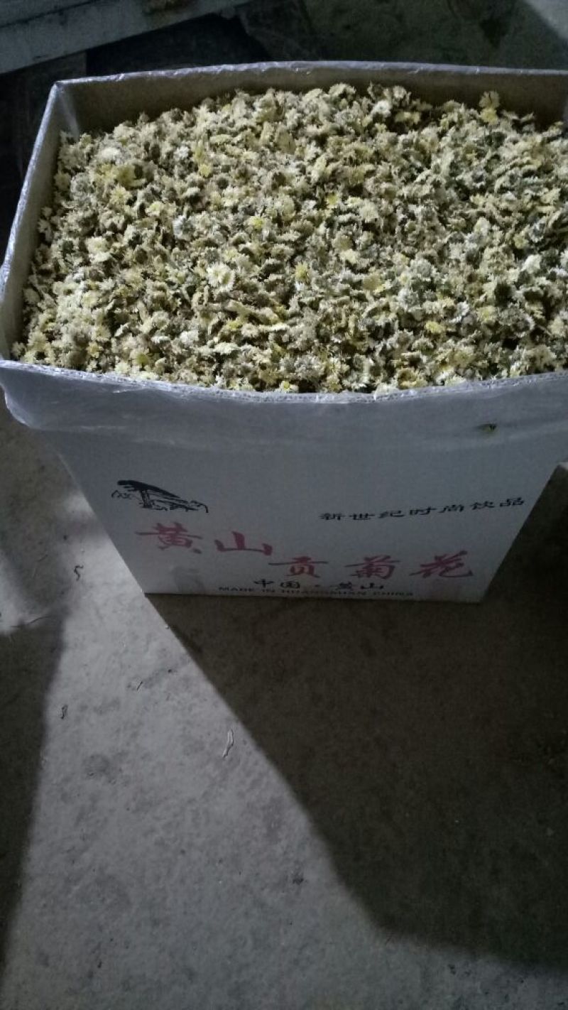 菊花茶特级
