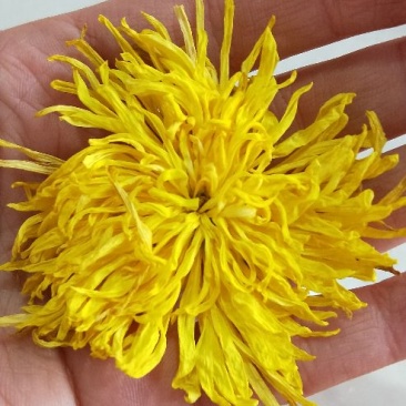 金丝皇菊茶二级