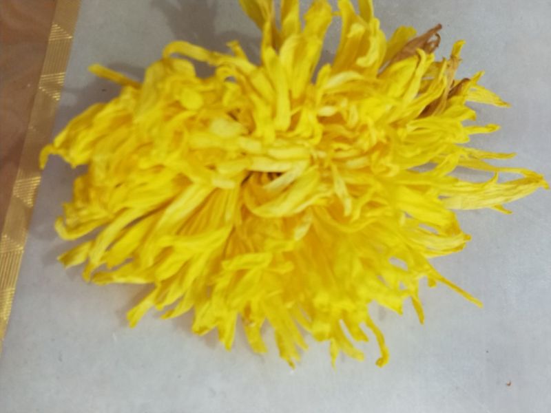金丝皇菊茶二级