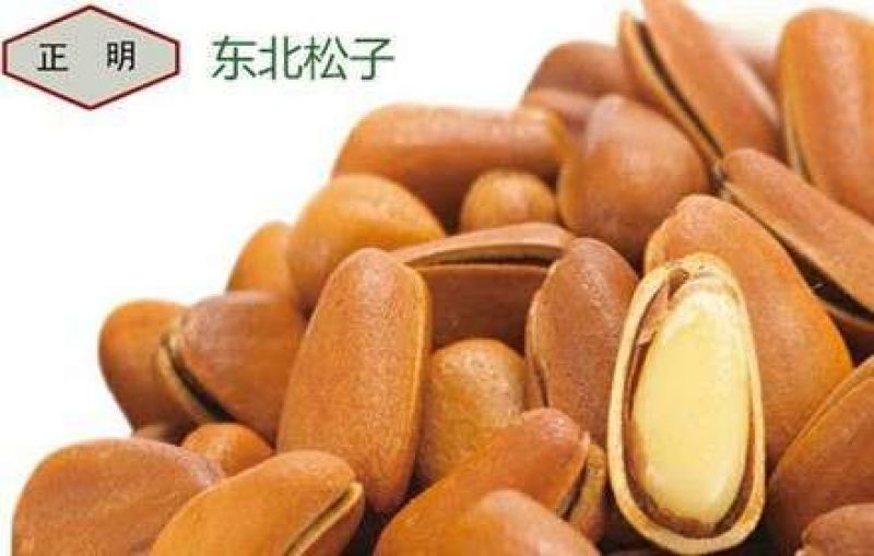 东北松子批发代发