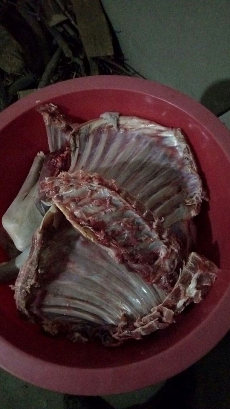羊肉山羊肉否带骨