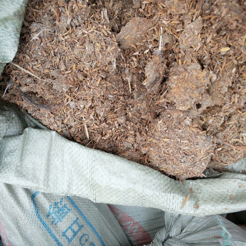 鸡粪