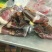 腊肉