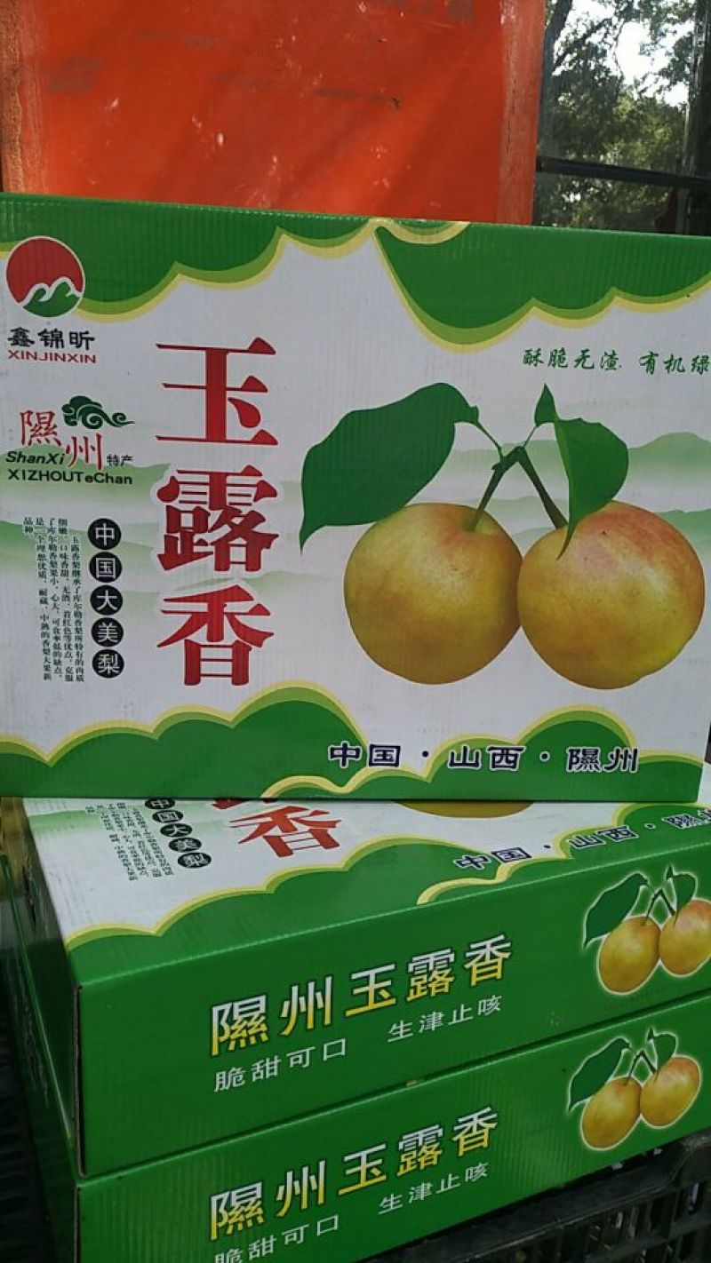 隰县细肉酥梨100~150g纸袋
