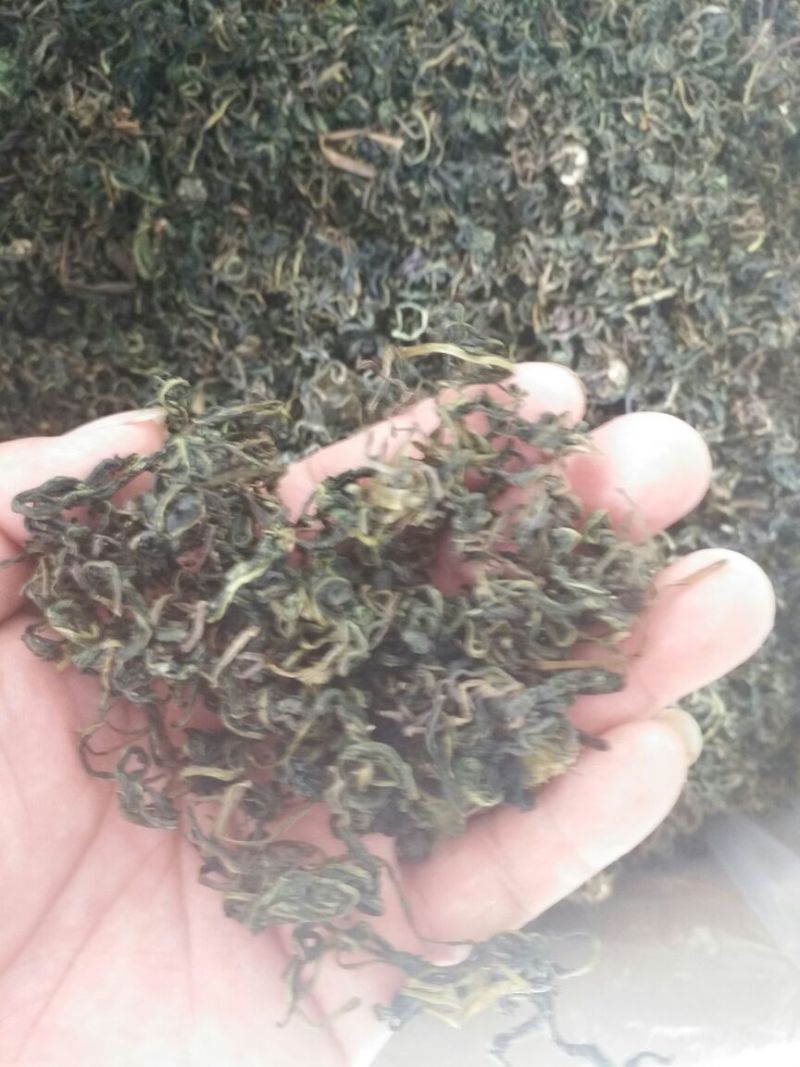 蒲公英茶河南1公斤起批无硫无添加不包邮只做正品
