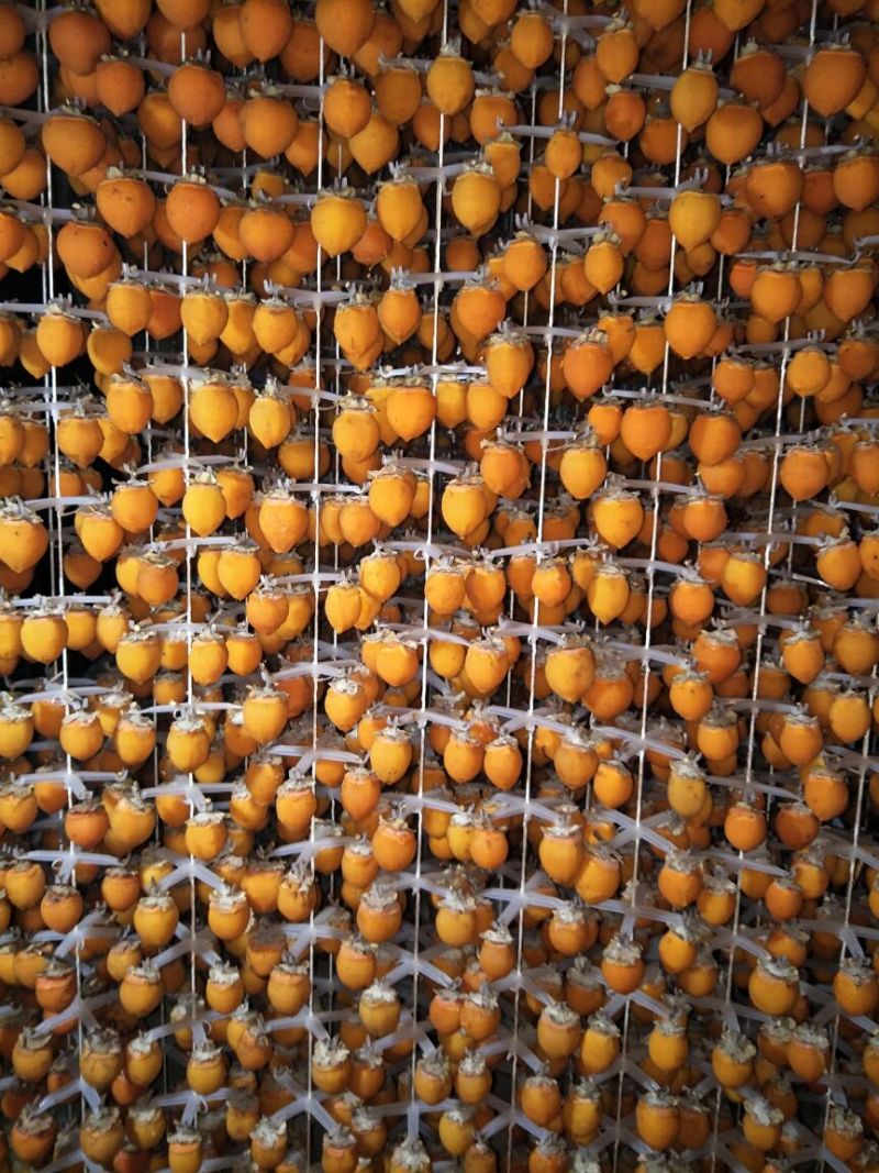 柿饼1~2两