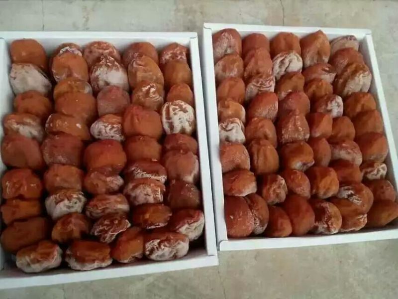 柿饼1~2两