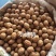 薄皮核桃去皮25~30mm干