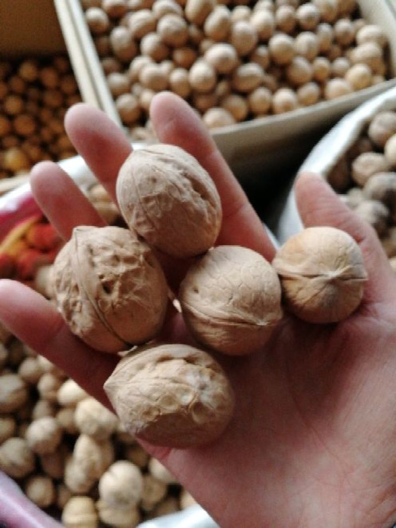 薄皮核桃去皮25~30mm干