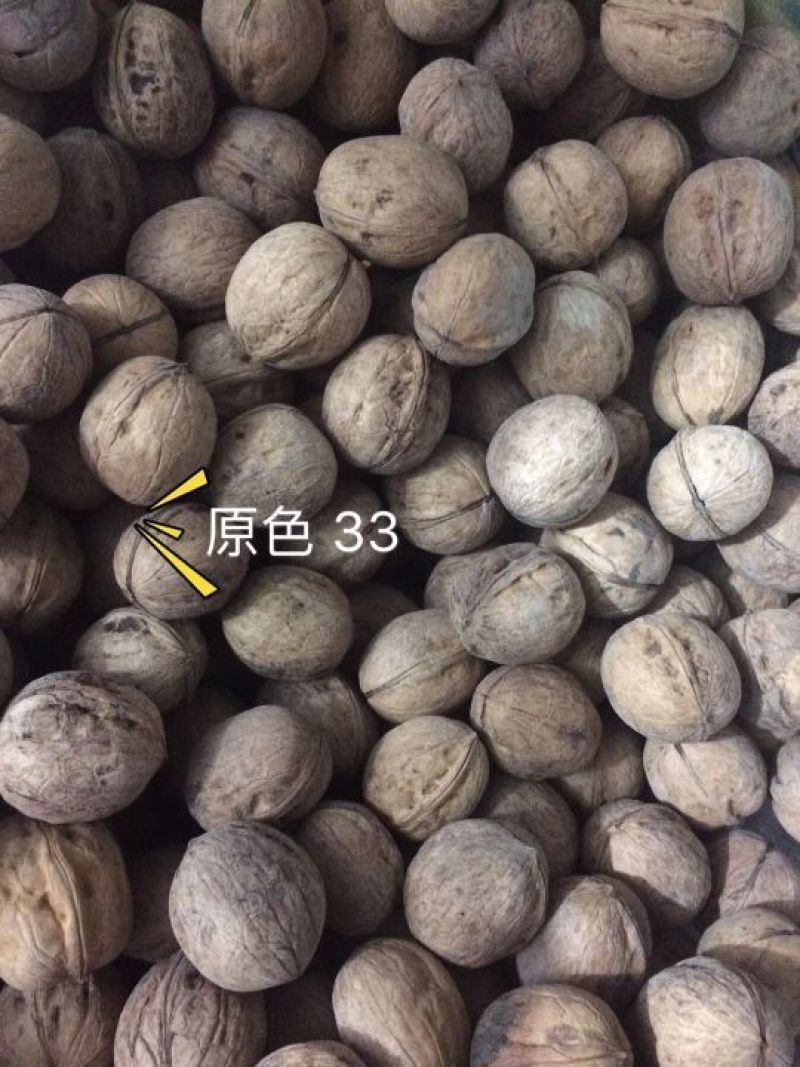 薄皮核桃去皮25~30mm干
