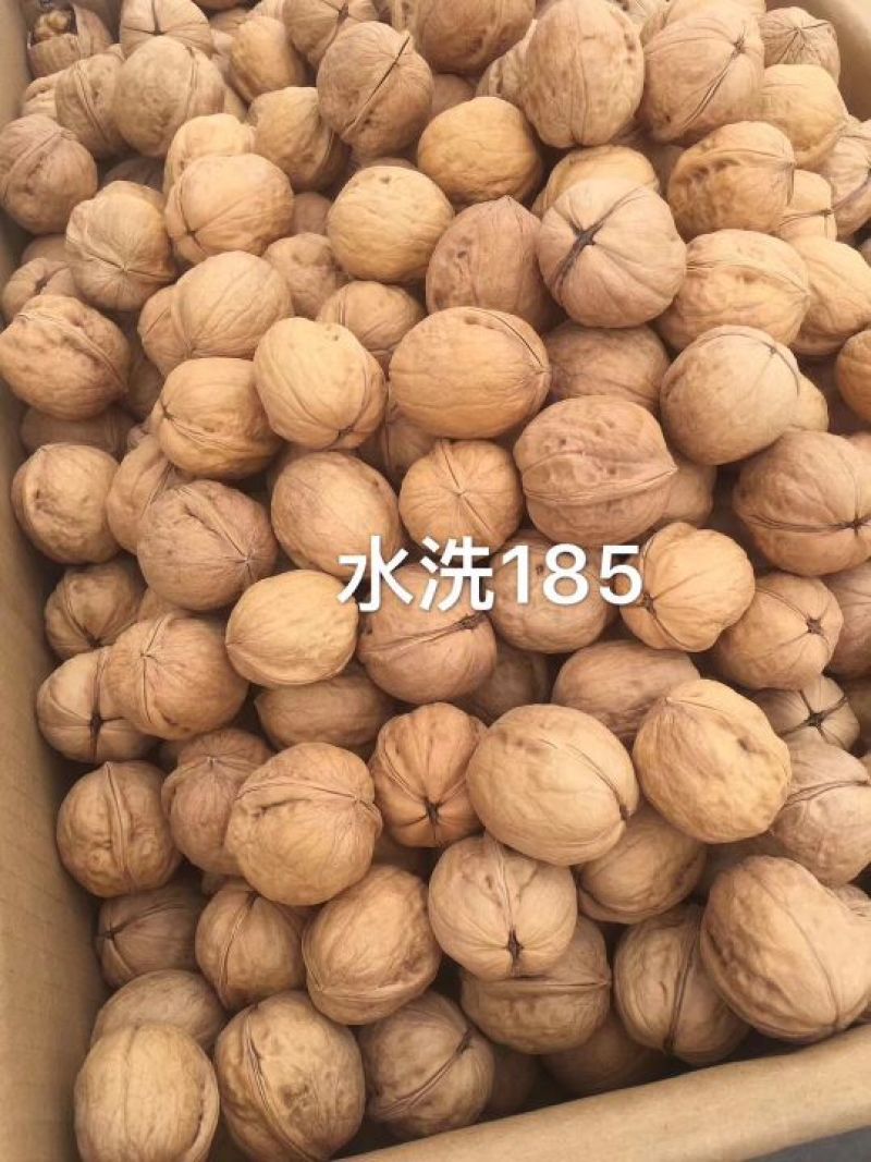 薄皮核桃去皮25~30mm干